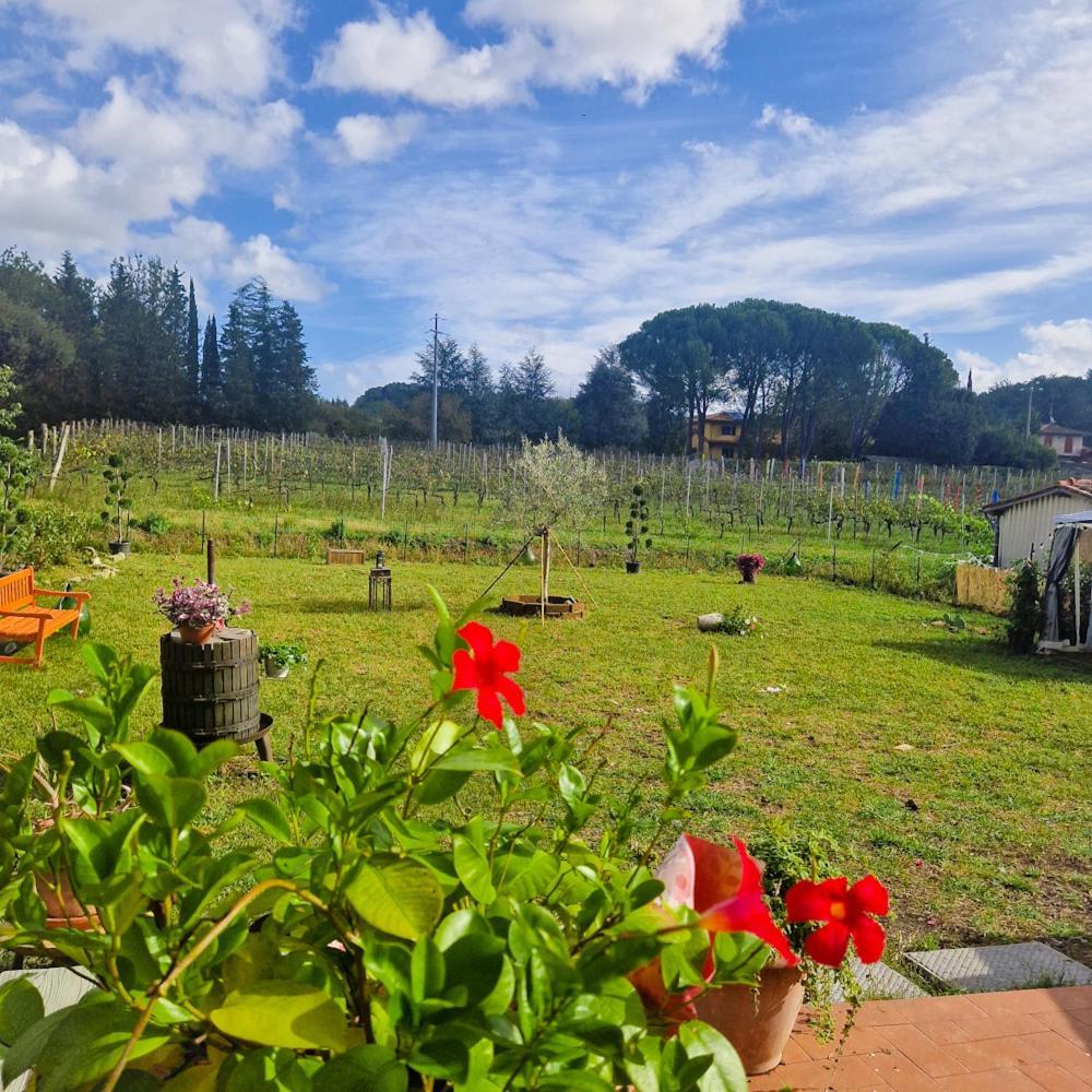 Apartamento La Casa Nella Vigna Colline Del Vino Capannori Exterior foto