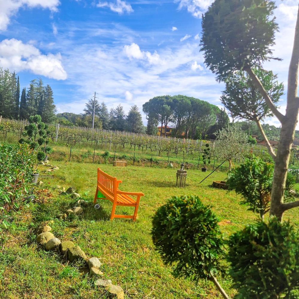 Apartamento La Casa Nella Vigna Colline Del Vino Capannori Exterior foto