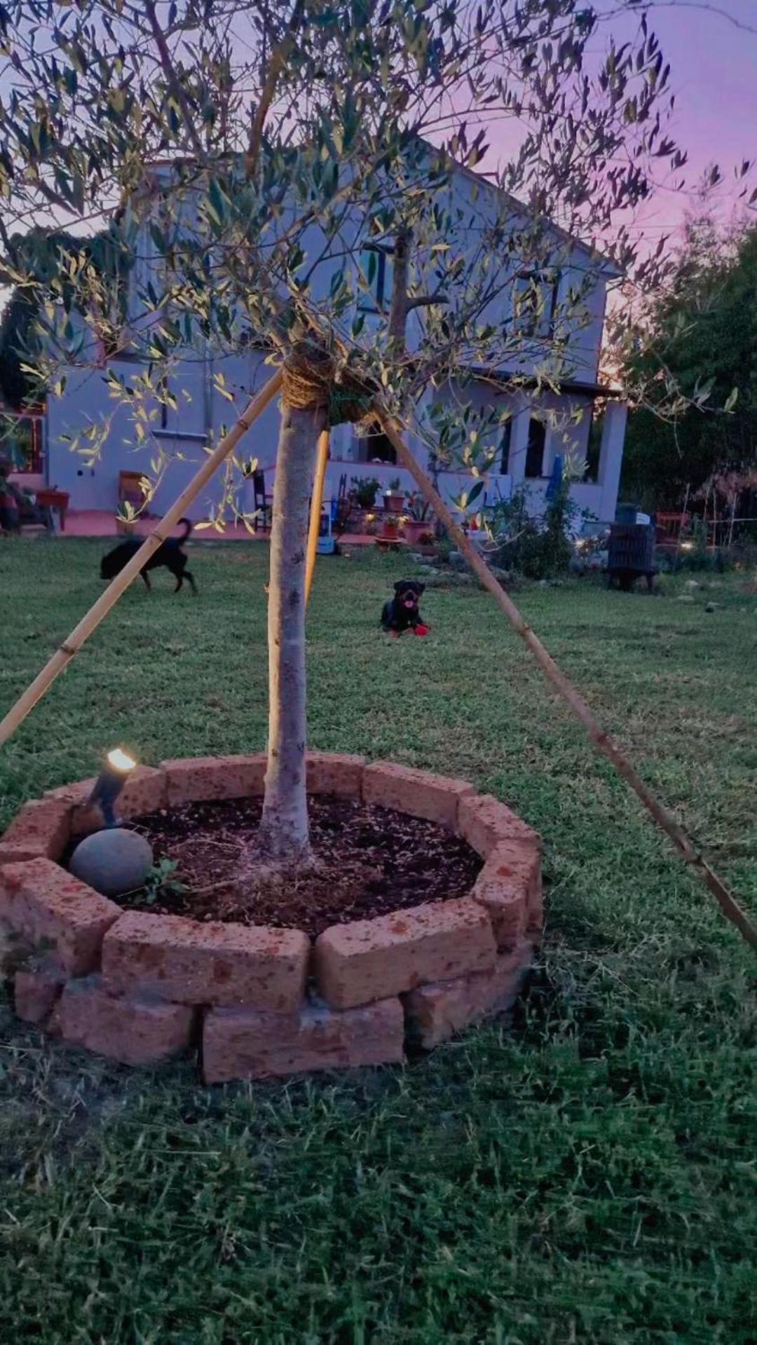 Apartamento La Casa Nella Vigna Colline Del Vino Capannori Exterior foto