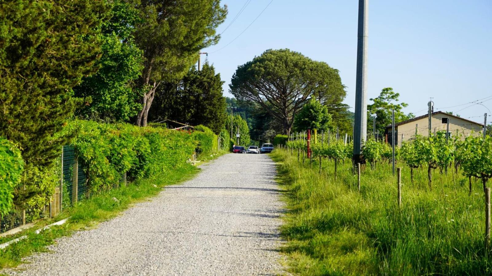 Apartamento La Casa Nella Vigna Colline Del Vino Capannori Exterior foto