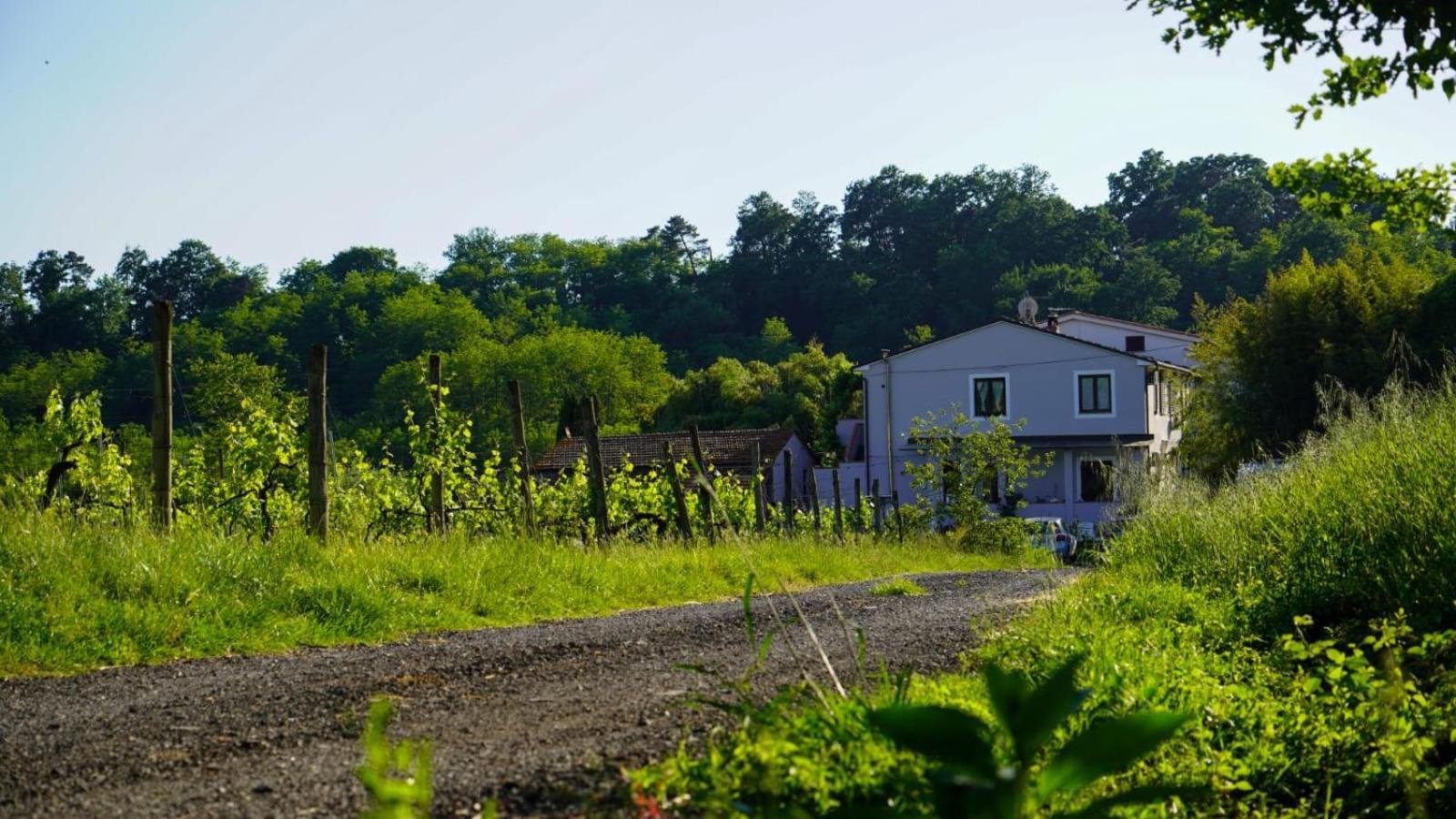 Apartamento La Casa Nella Vigna Colline Del Vino Capannori Exterior foto