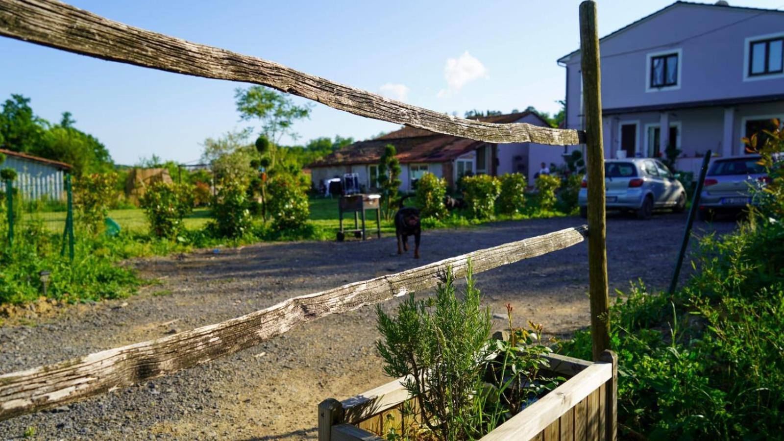 Apartamento La Casa Nella Vigna Colline Del Vino Capannori Exterior foto